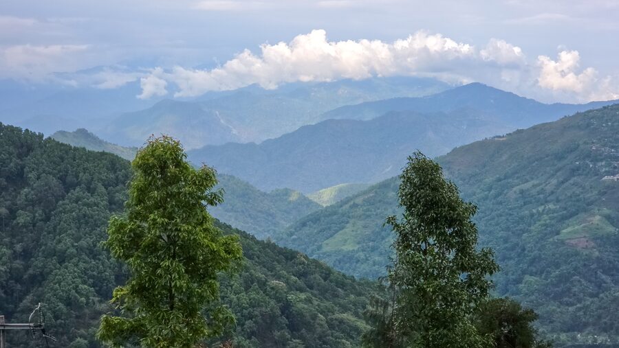 Mist over the North Bengal hills